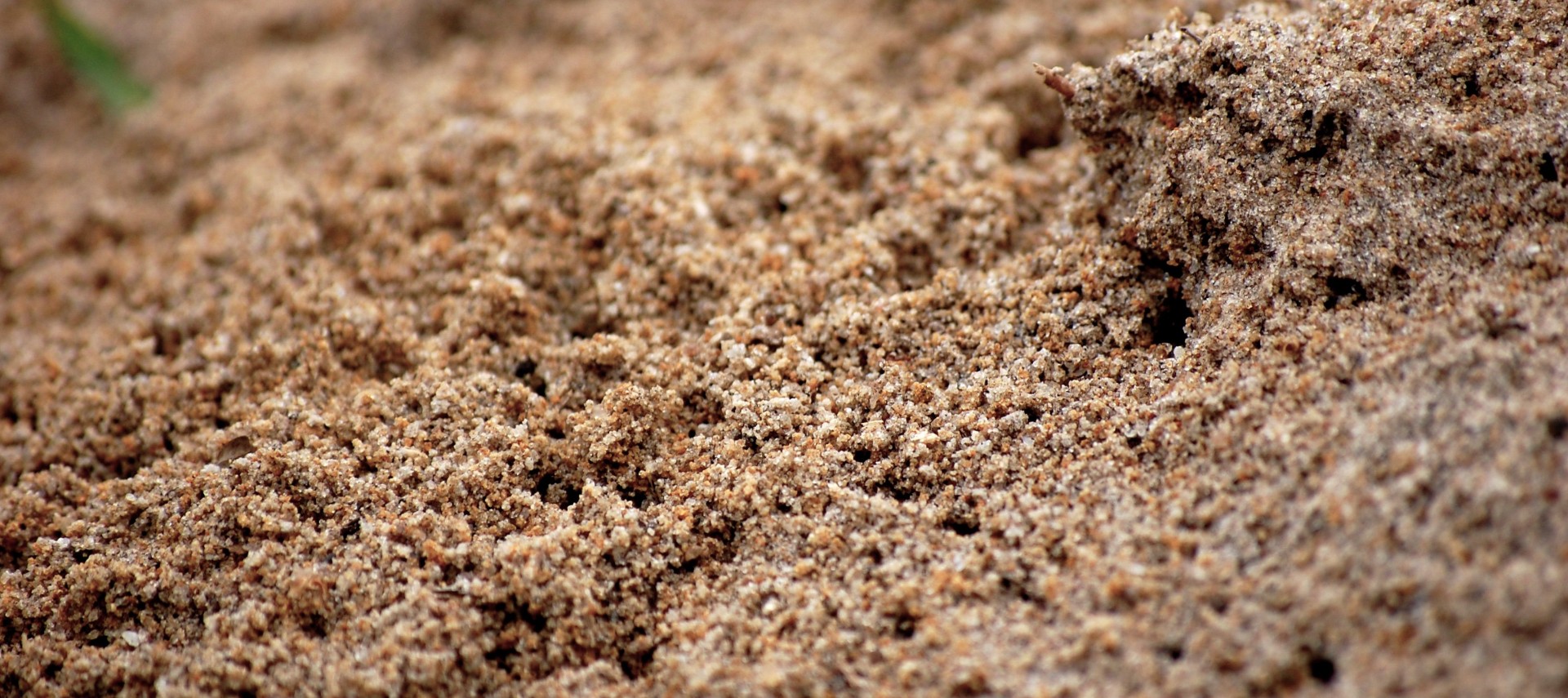 Making a Mountain Out of An Ant Hill