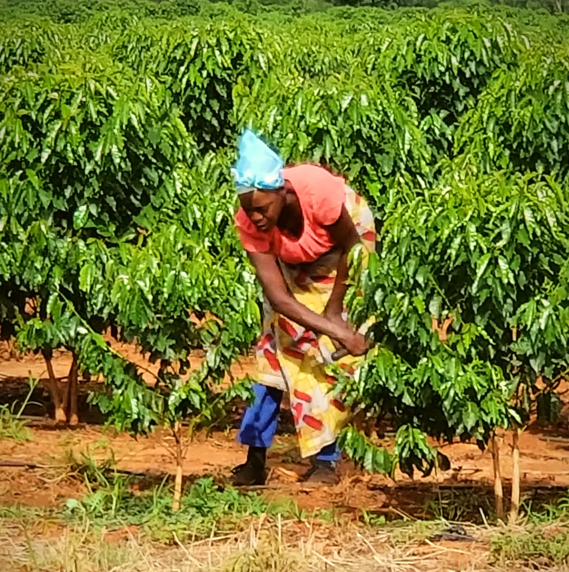 Coffee at Living Hope International in Ndola, Zambia