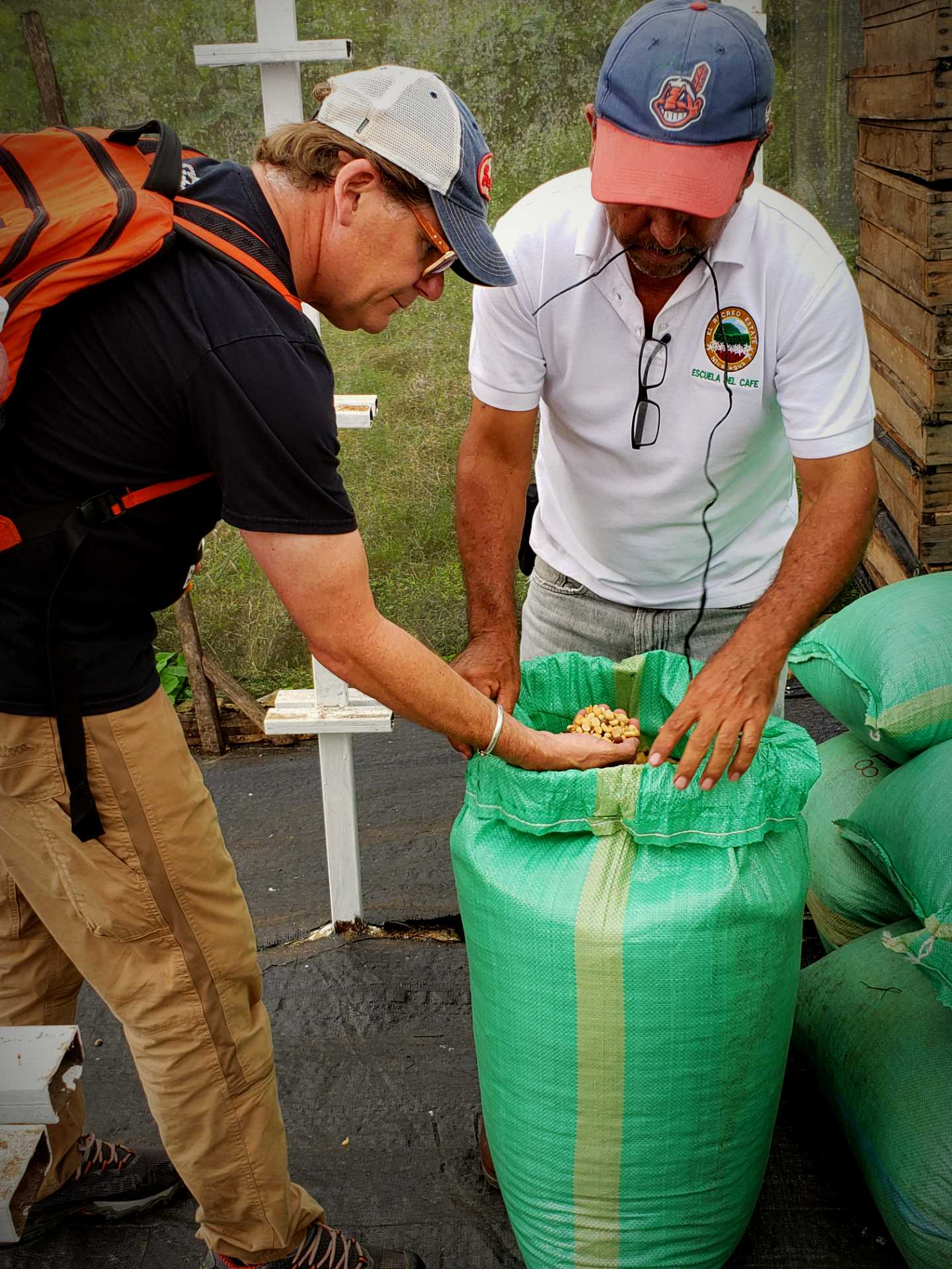 Coffee beans at the El Recreo Coffee Estate