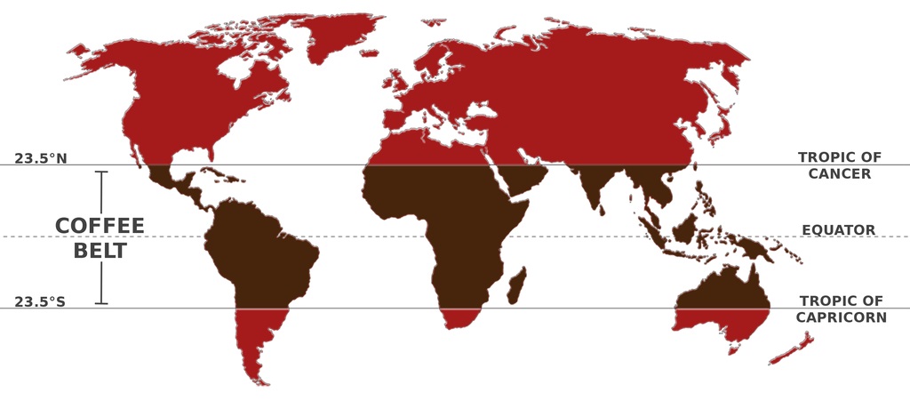 Where Coffee is grown