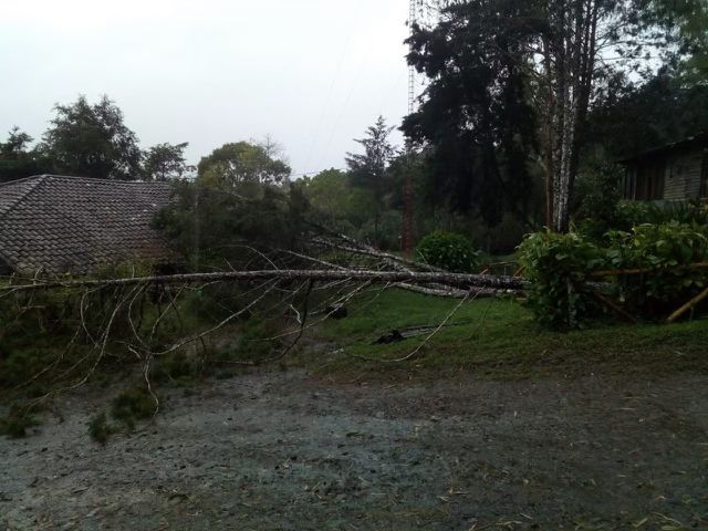 damage at El Recreo