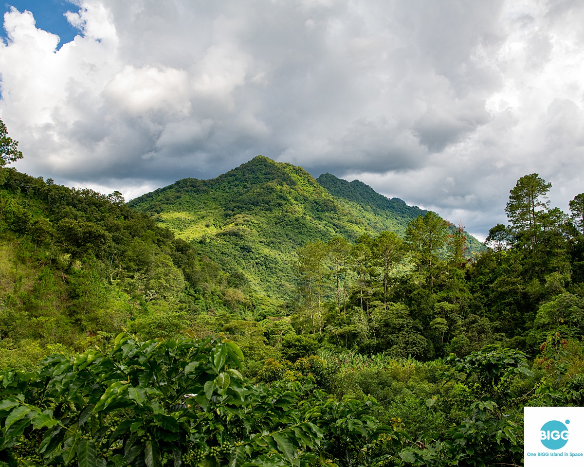 Chiapas Mexico Goodness in the World