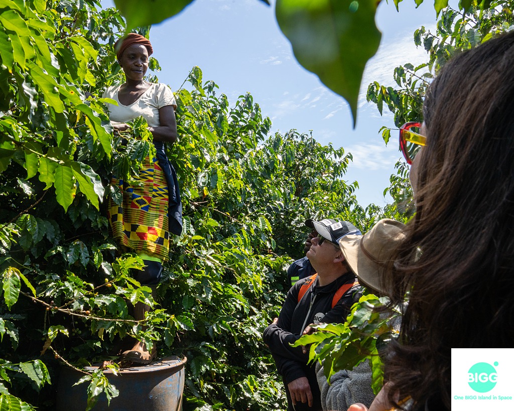 Living Hope: What They've been up to on the coffee farm