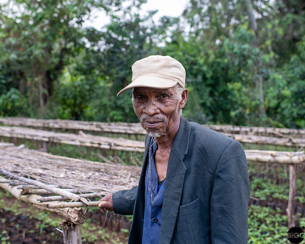 ethiopia the coffee