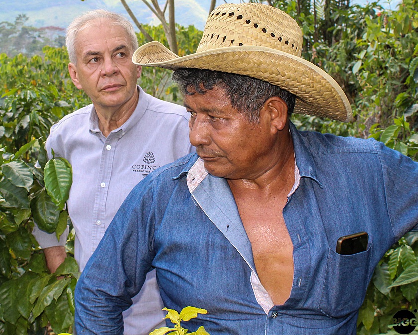 Pascual Hernandez Guzman