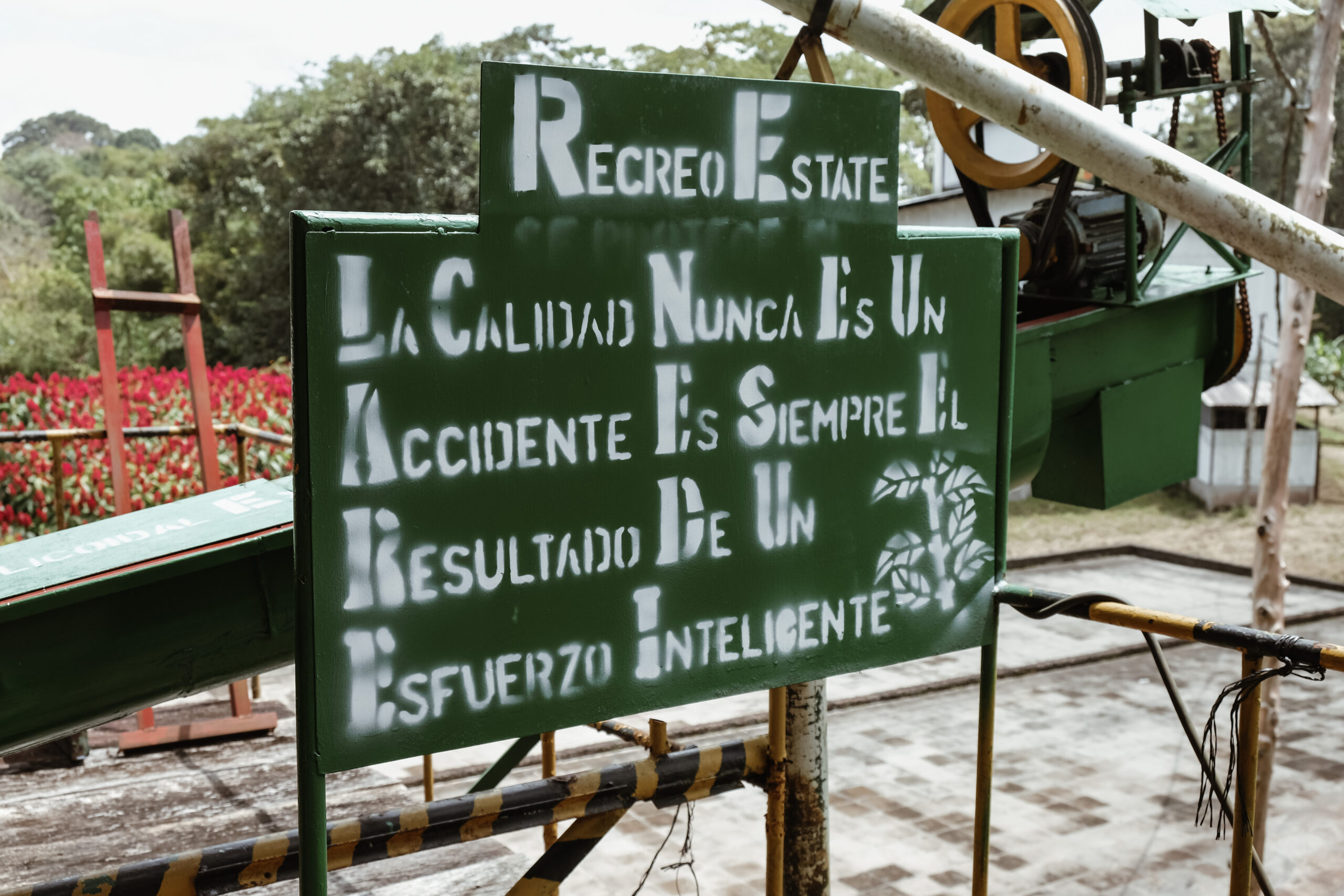 12CAB2DB-24E9-4689-8738-567CBC0CAEA5-75878-000009C78B76396F-scaled