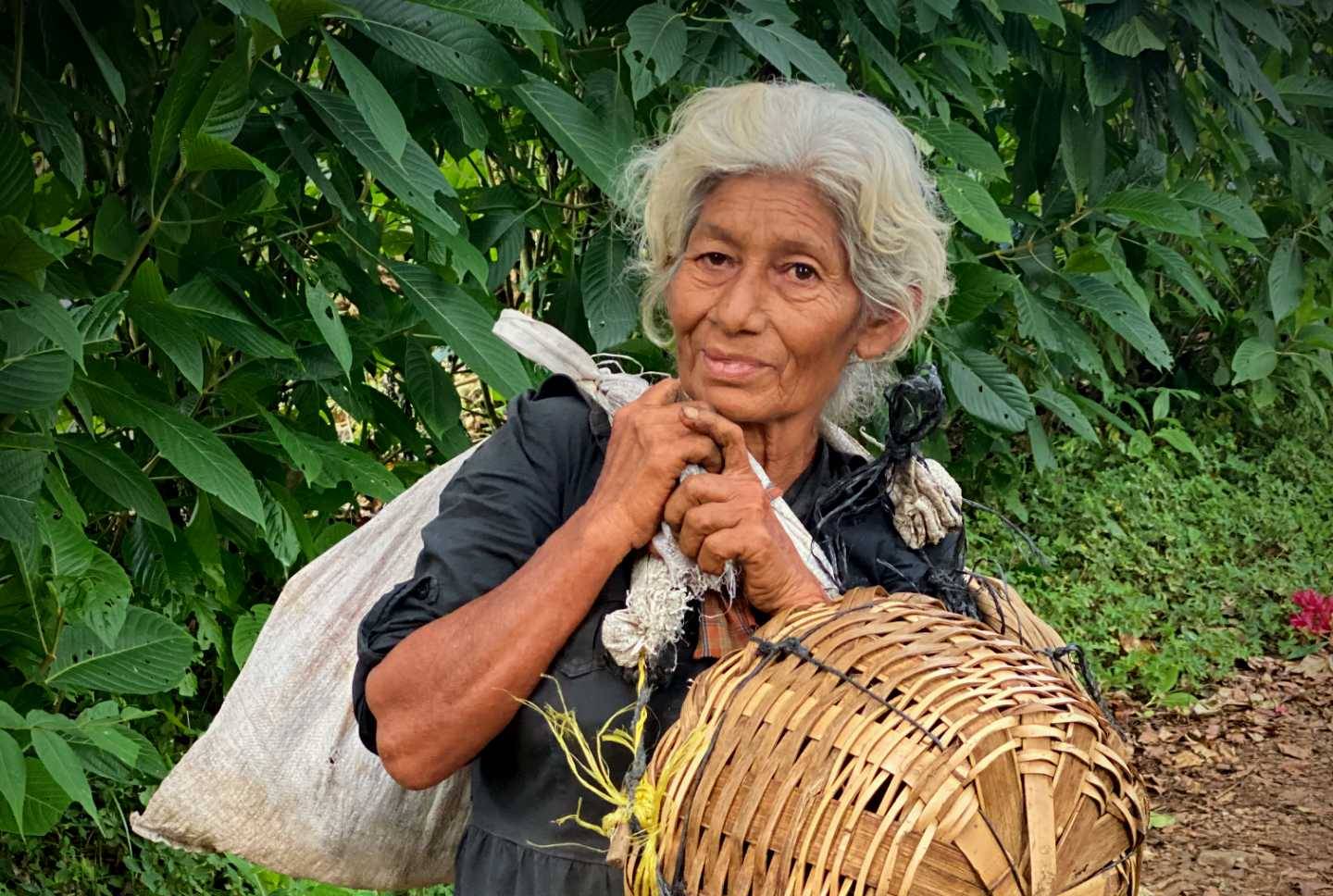 Day in the life of a coffee picker