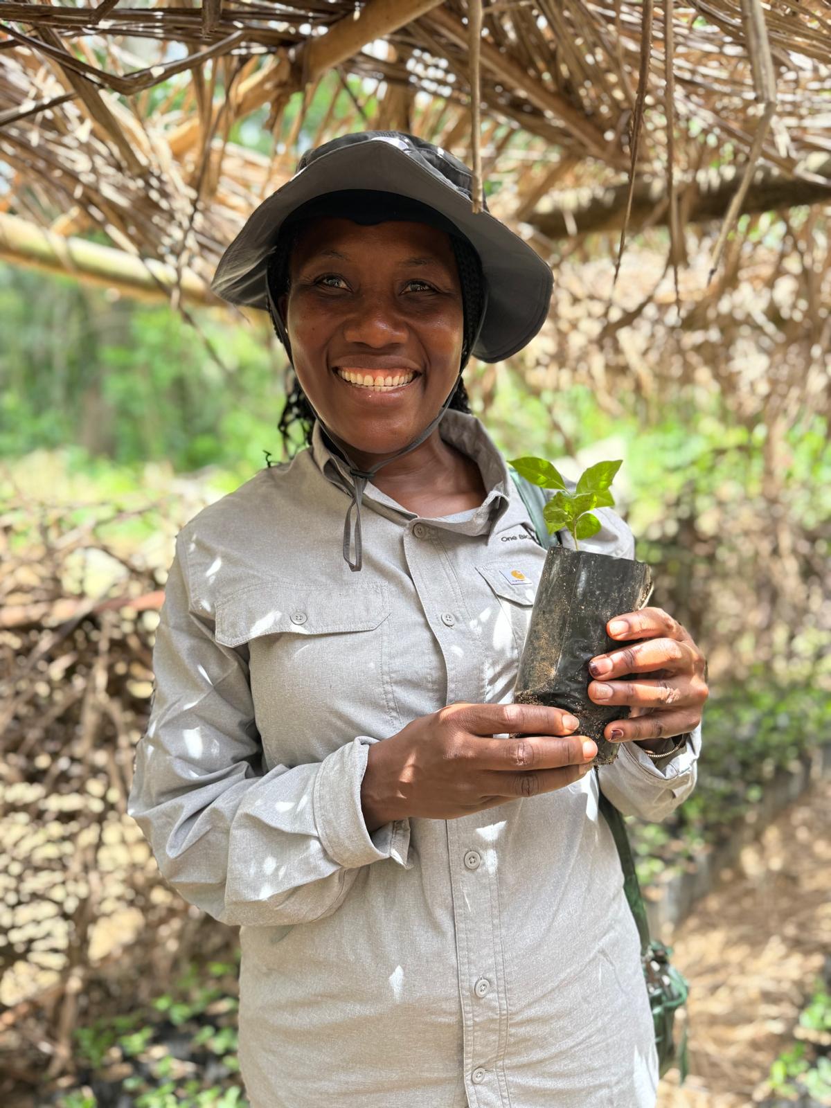 Planting Seeds a Sierra Leone Update