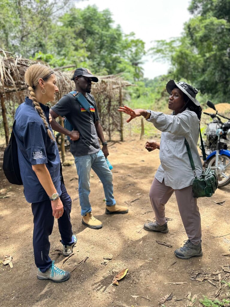 Planting Seeds a Sierra Leone Update