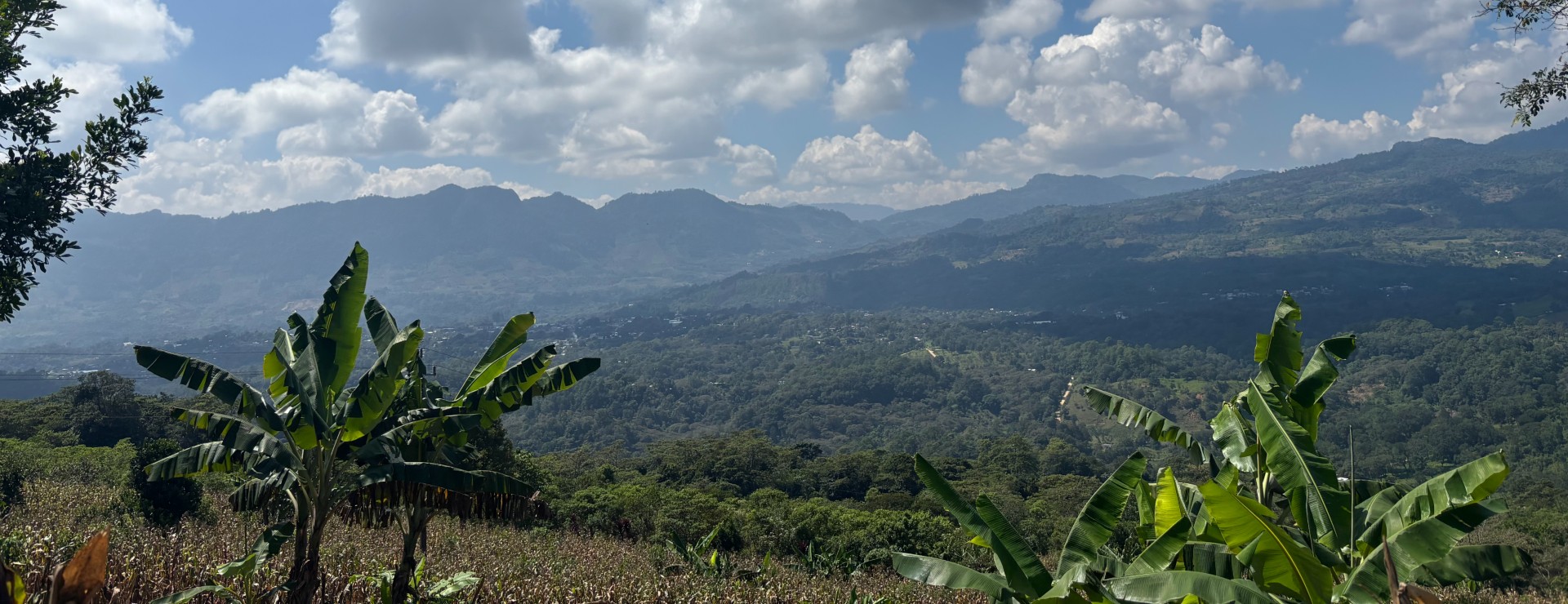 Trusting the Coffee Experts