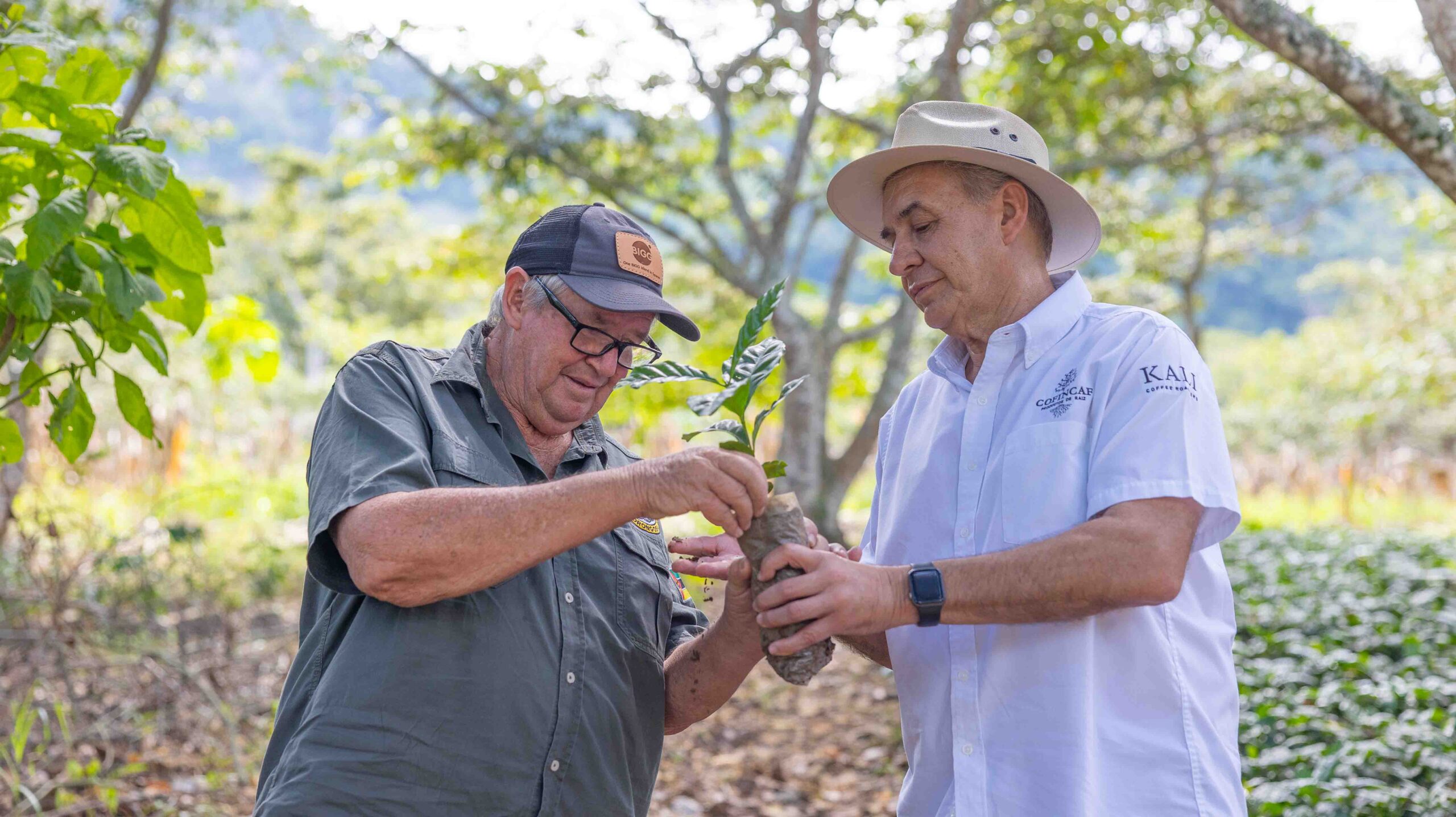 Farmshare Finca la Fortaleza