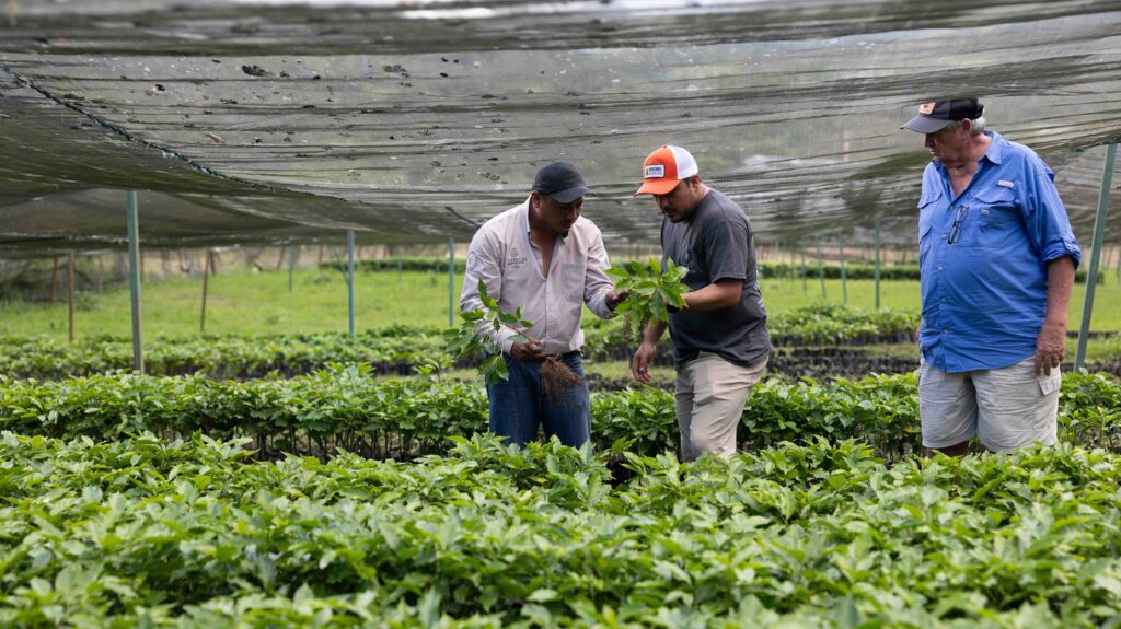 Farmshare Finca la Fortaleza
