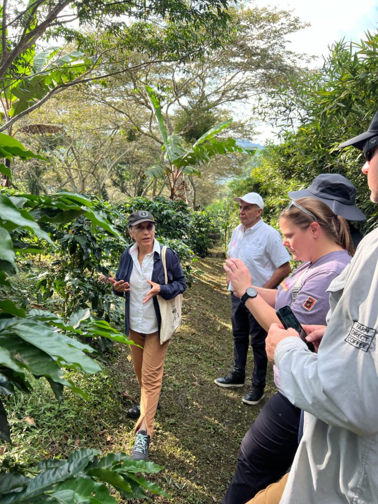 Trusting the Coffee Experts
