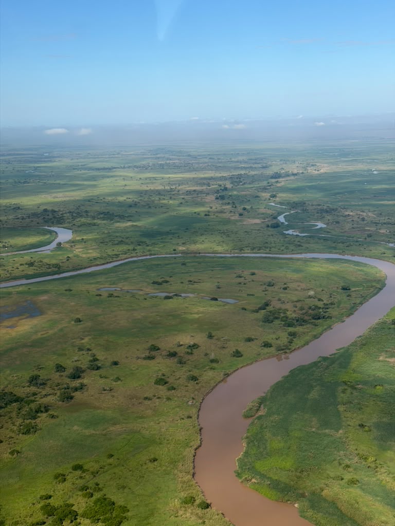 OBIIS in Gorongosa
