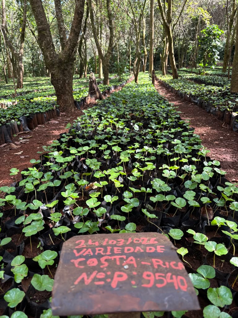 Good News from Gorongosa National Park